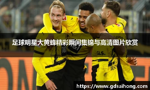 足球明星大黄蜂精彩瞬间集锦与高清图片欣赏